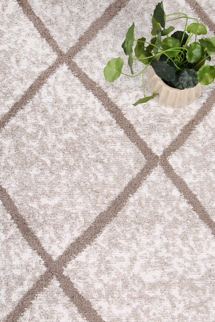 Kimberley Trellis Latte Contemporary Rug