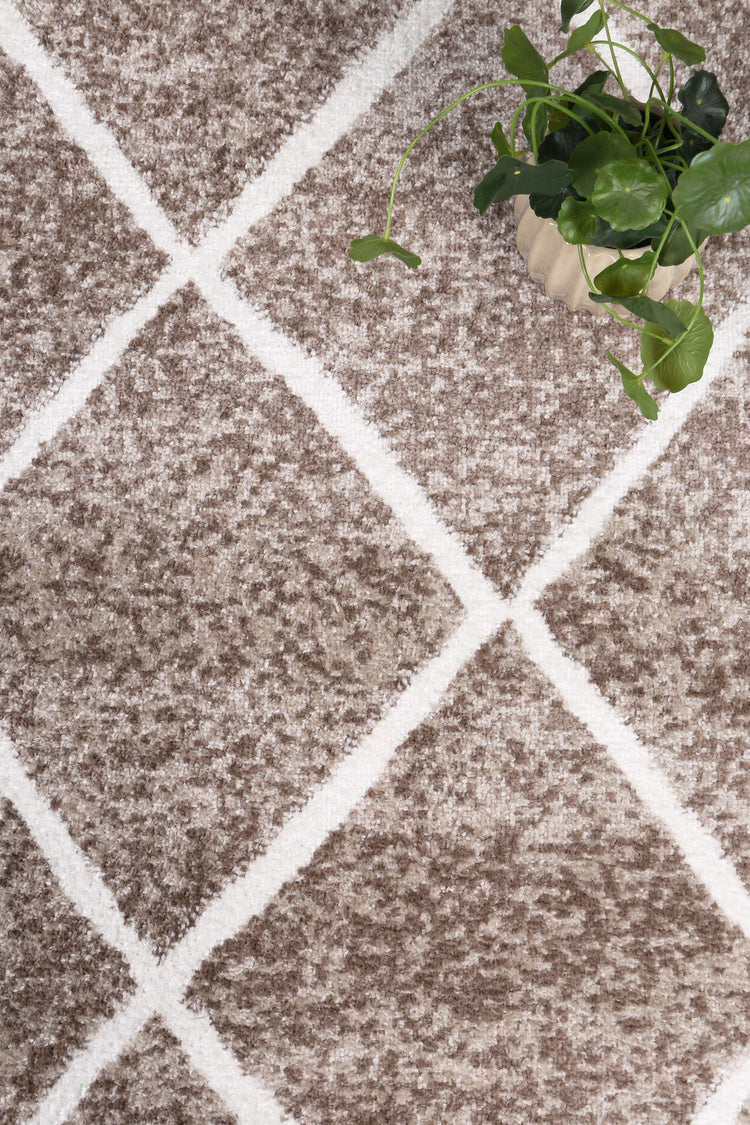 Kimberley Trellis Mocha Contemporary Rug