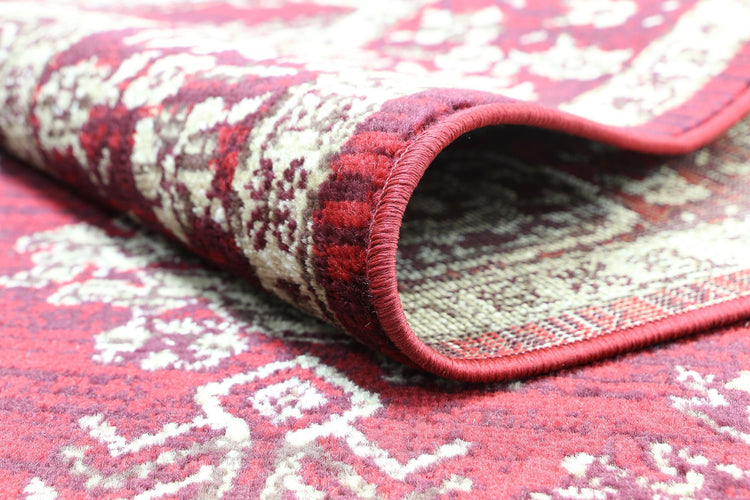 Arya Red Traditional Rug